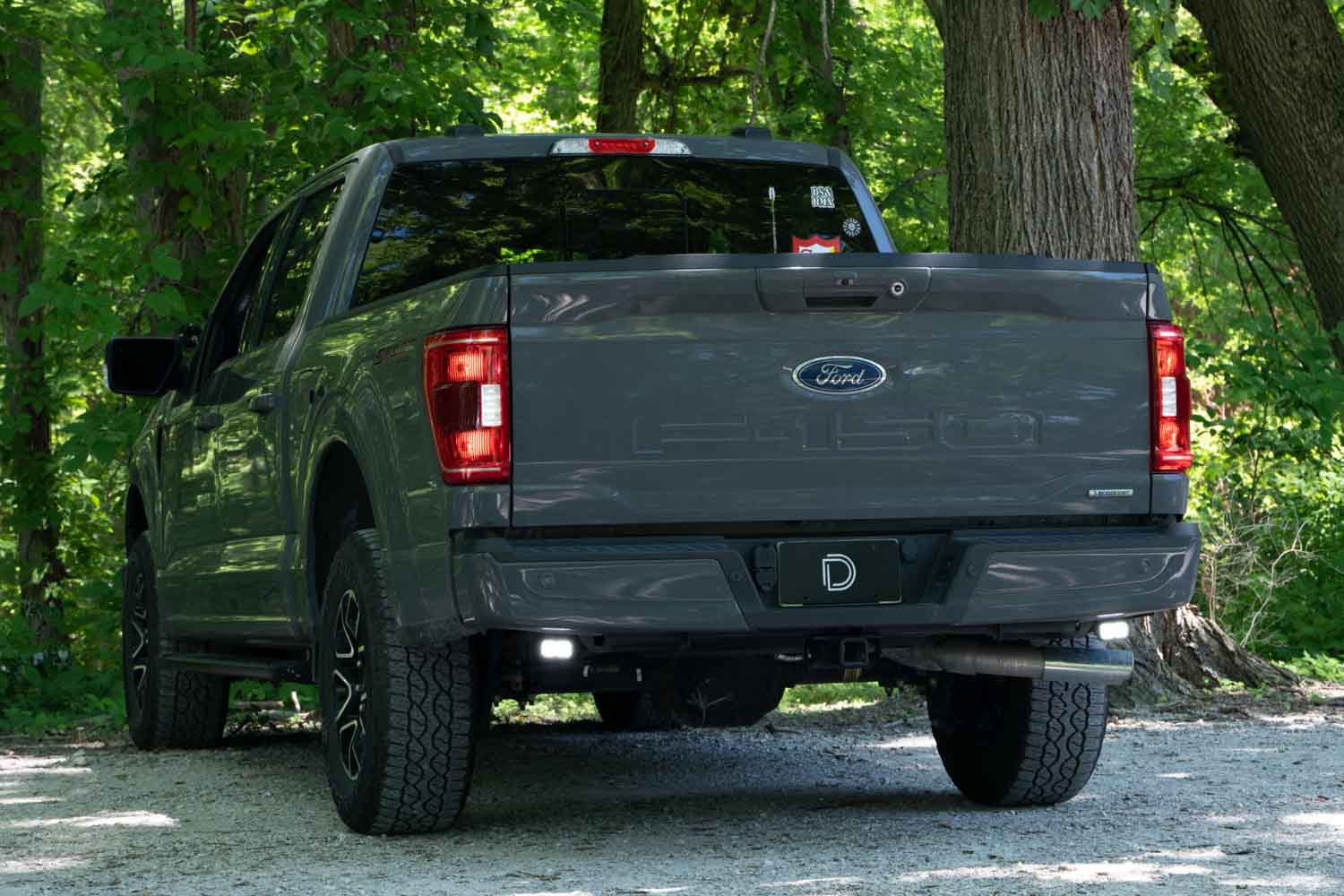 Diode Dynamics Stage Series Reverse Light Kit for 2021-2022 Ford F-150, C2 Pro Diode Dynamics