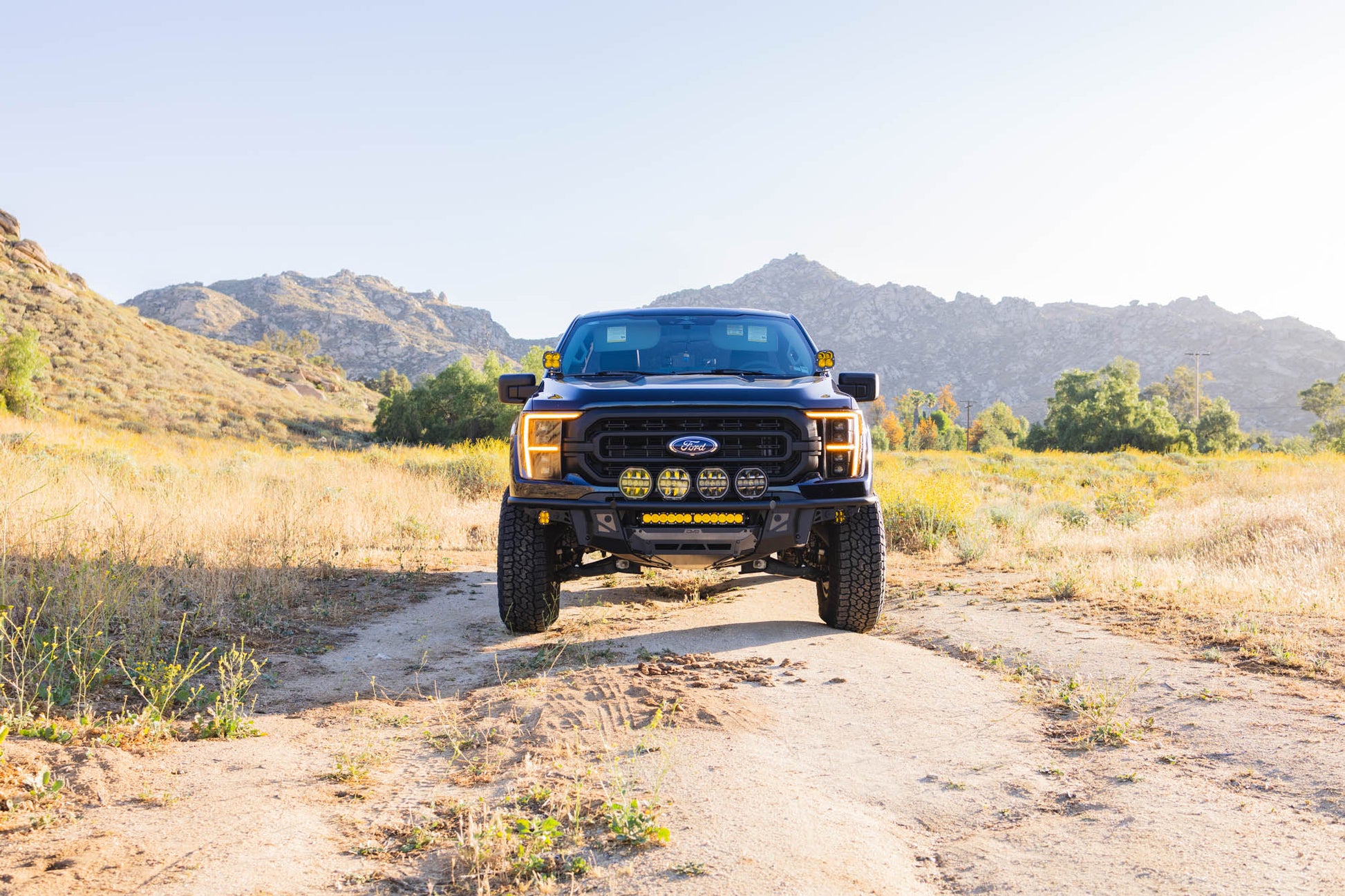 2021 2023 Ford F 150 Tube Front Bumper DV8 Offroad-9