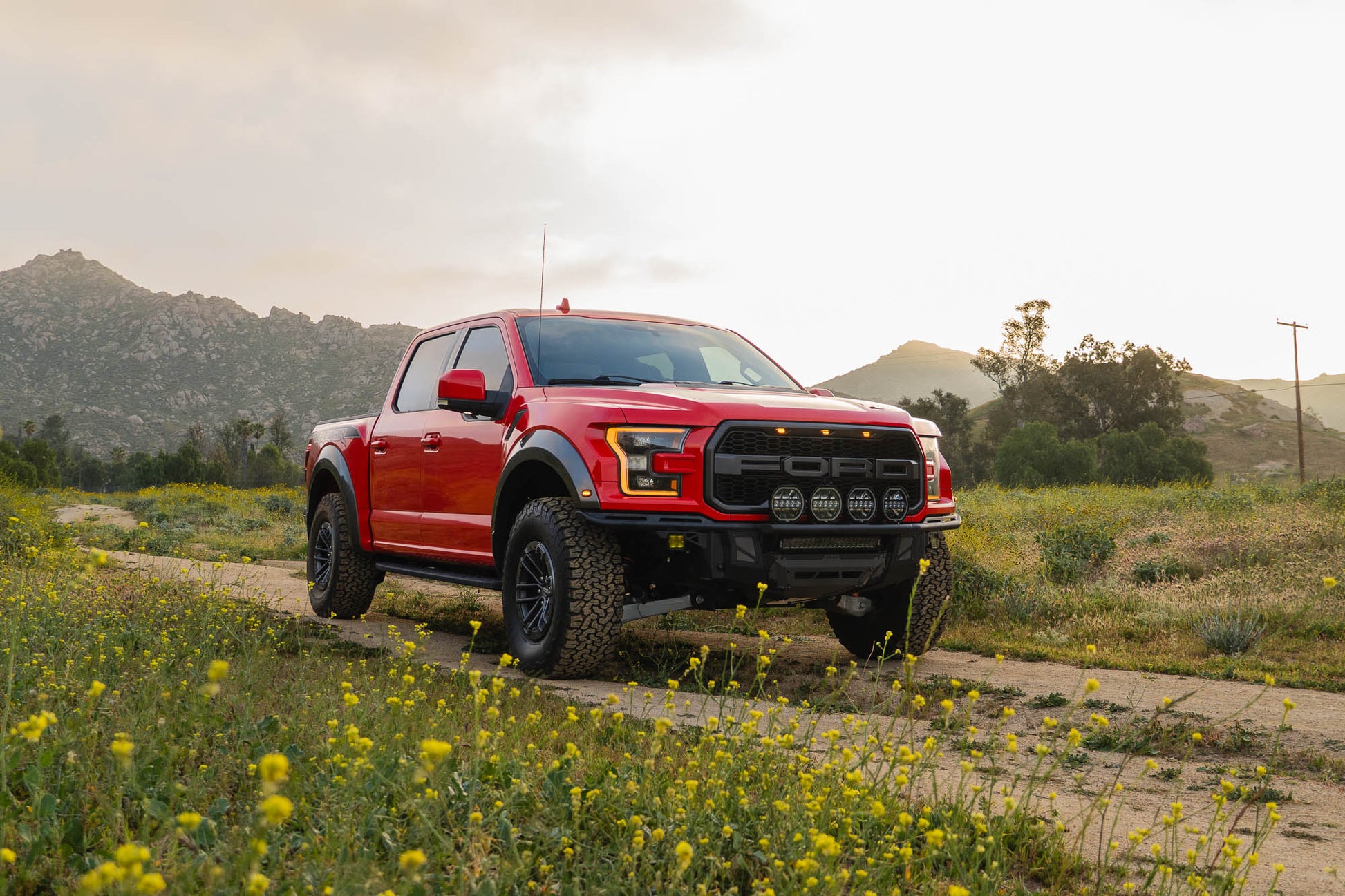 2017 2020 Ford F 150 Raptor Tube Front Bumper DV8 Offroad-12