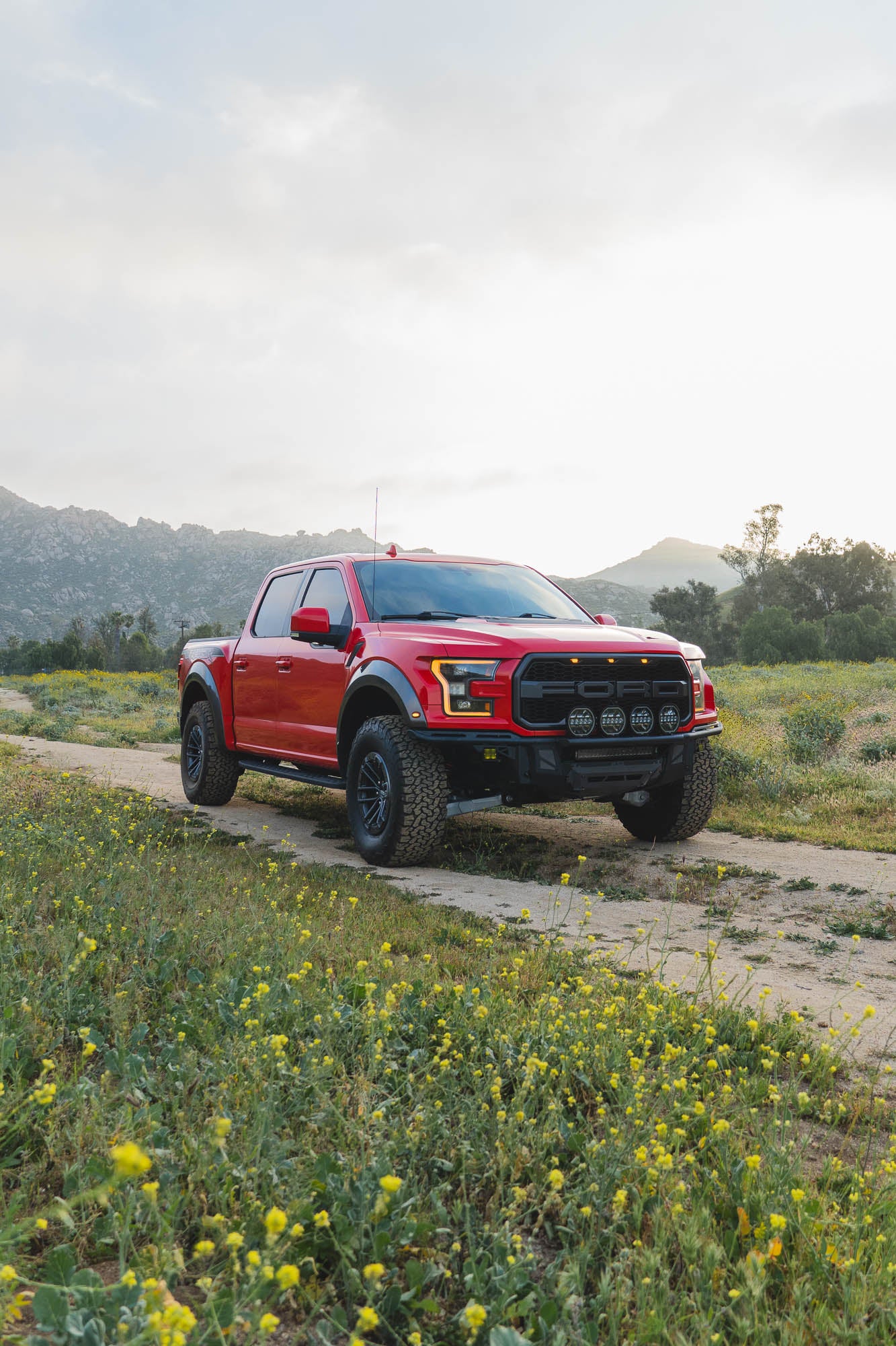 2017 2020 Ford F 150 Raptor Tube Front Bumper DV8 Offroad-14