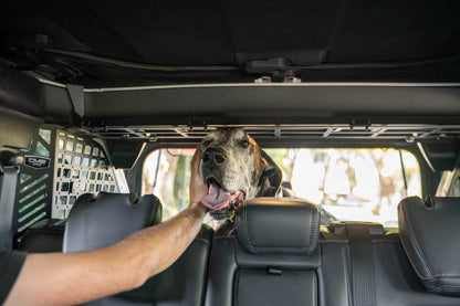 2021 2024 Ford Bronco Dog Barrier DV8 Offroad-21