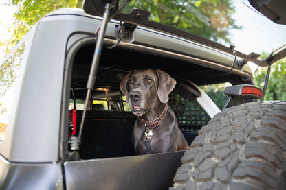 2021 2024 Ford Bronco Dog Barrier DV8 Offroad-22