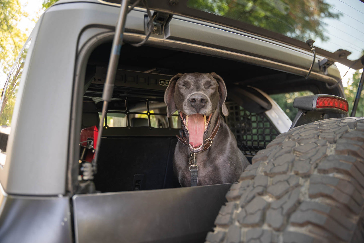 2021 2024 Ford Bronco Dog Barrier DV8 Offroad-23
