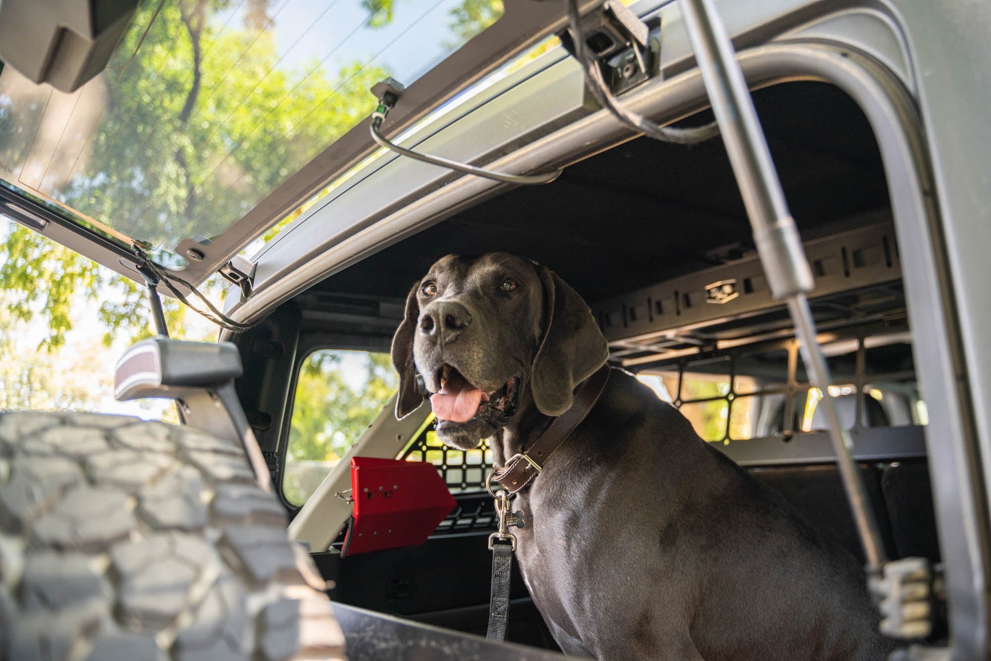 2021 2024 Ford Bronco Dog Barrier DV8 Offroad-24