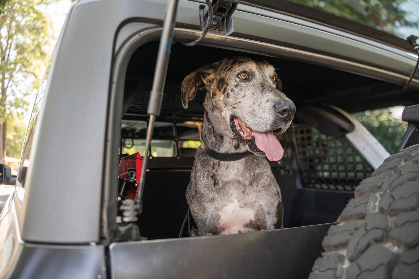 2021 2024 Ford Bronco Dog Barrier DV8 Offroad-25