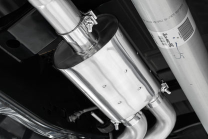 3 Inch Cat Back Exhaust System Pre-Axle Dual Outlet Black Coated Street Version For 15-20 Ford F-150 MBRP-6
