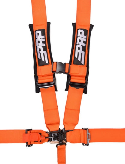 5.3 Harness PRP Seats-4