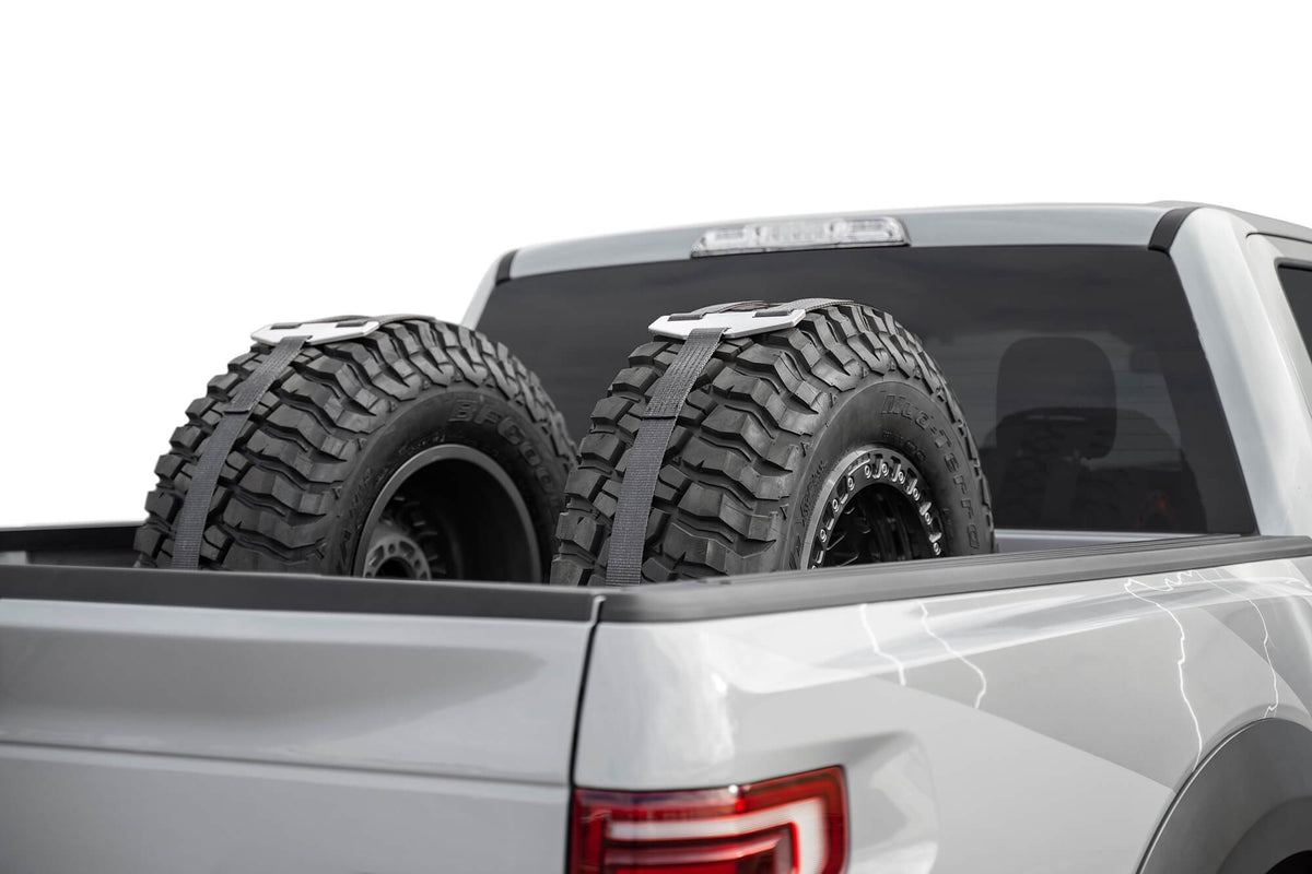 Full-size, Mid-size Trucks Tire Carrier Addictive Desert Designs-6