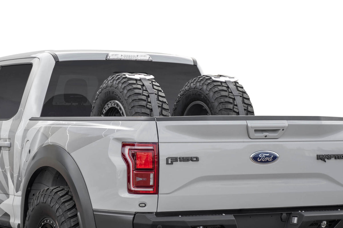 Full-size, Mid-size Trucks Tire Carrier Addictive Desert Designs-8